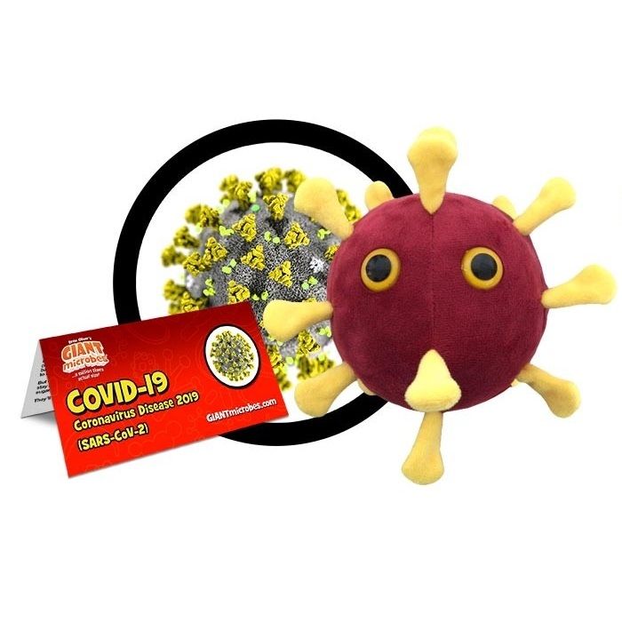 Koronavirus COVID-19 (SARS-CoV-2)
