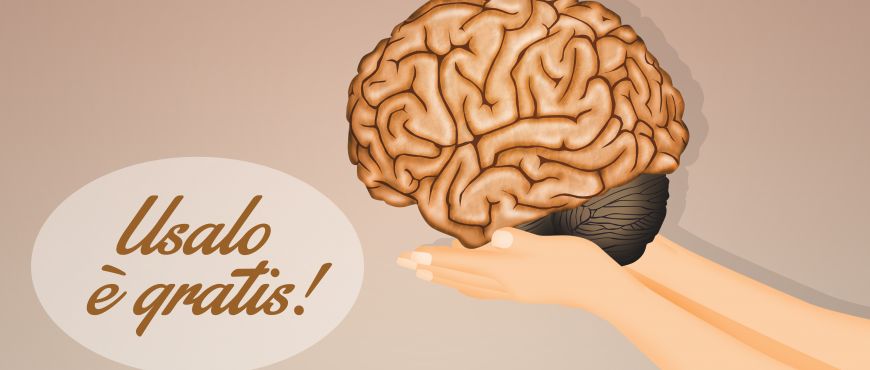 5 ciekawostek o mózgu