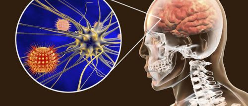 Jak koronowirus uszkadza mózg?