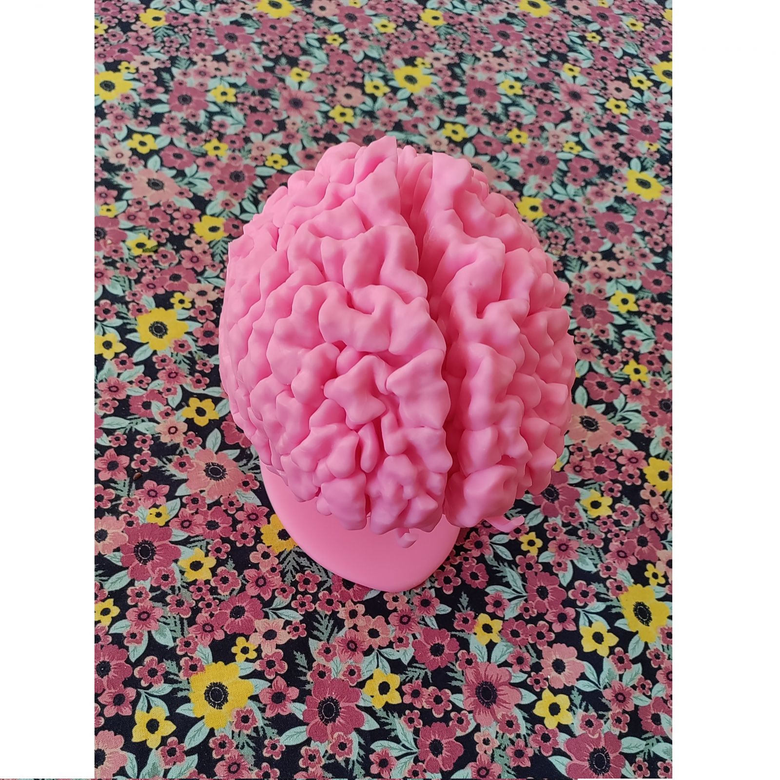 Rezonans magnetyczny - model mózgu 3D