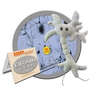 Neuron Komórka mózgowa Giant Microbes